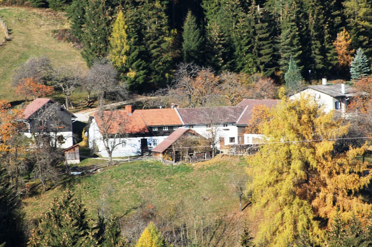 Ferienwohnung Holzer 派尔巴赫 外观 照片